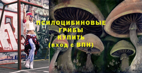 прущие крисы Ельня