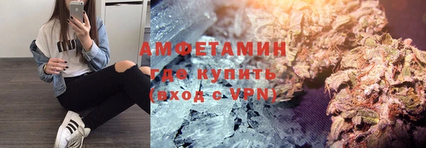 прущие крисы Ельня